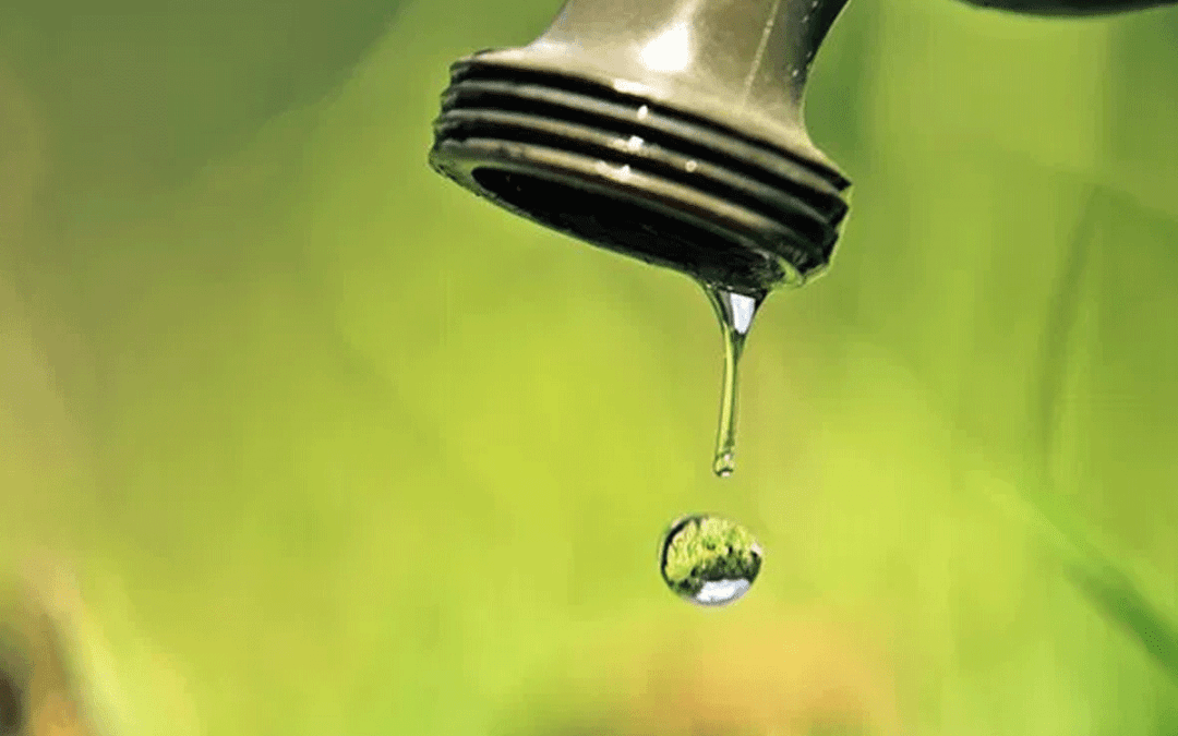 Rand Water Major Shutdown