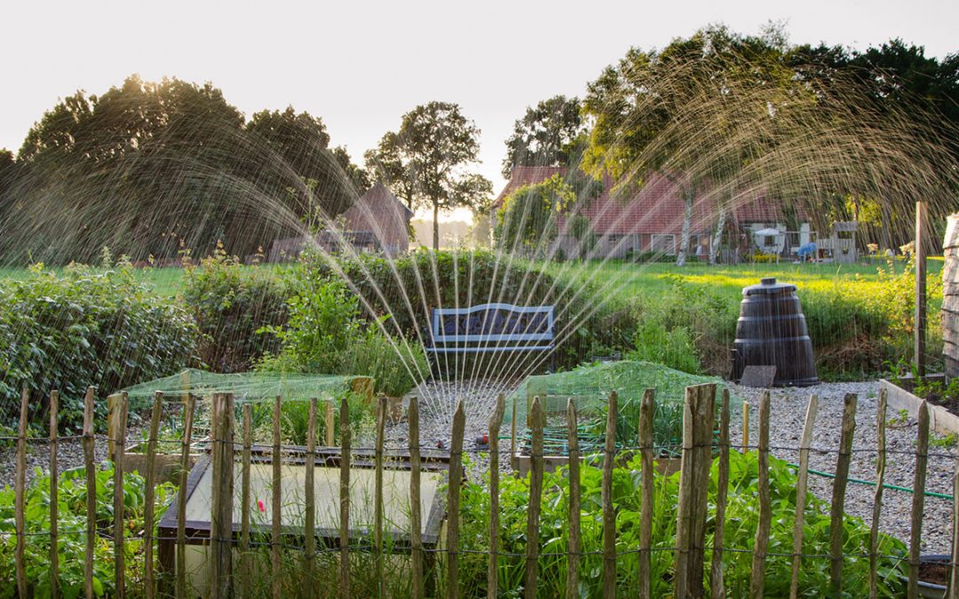 Cultivate plants that require less watering