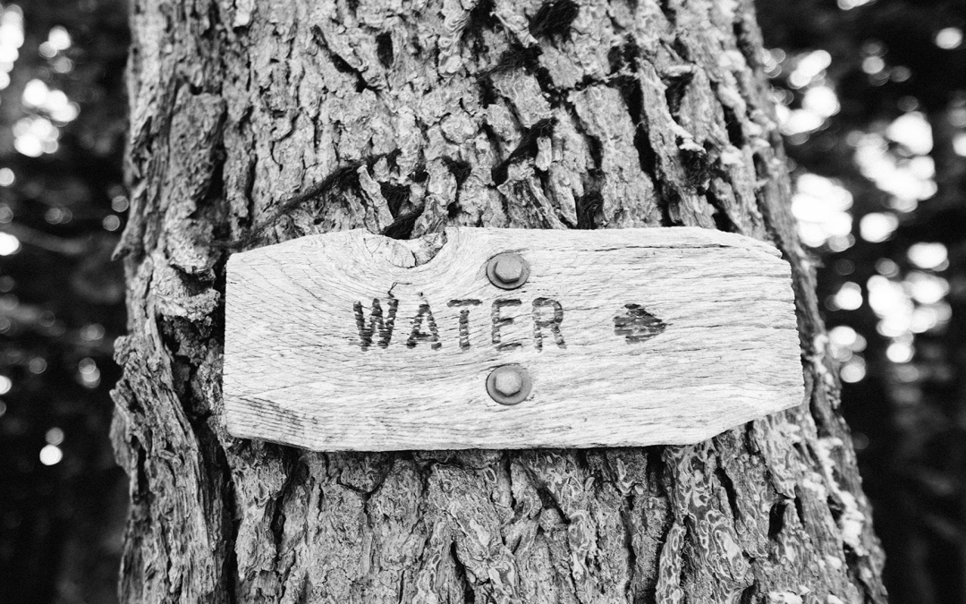 Guide to view your municipal statement online