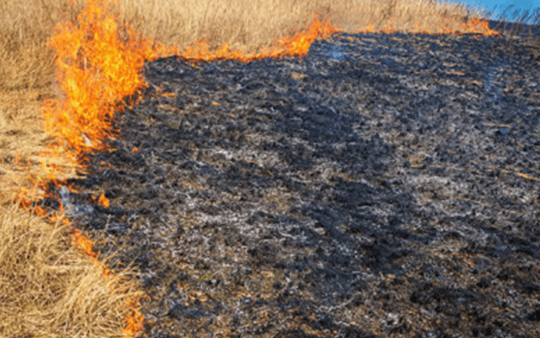 Veld fire affects electricity supply to pumping stations