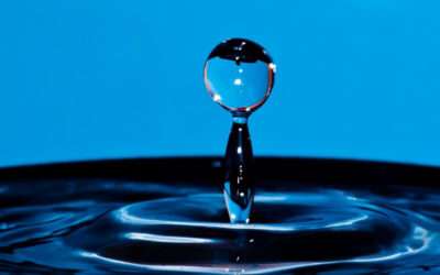 Johannesburg Water outperforms Gauteng municipalities in the 2023 Blue Drop Report 